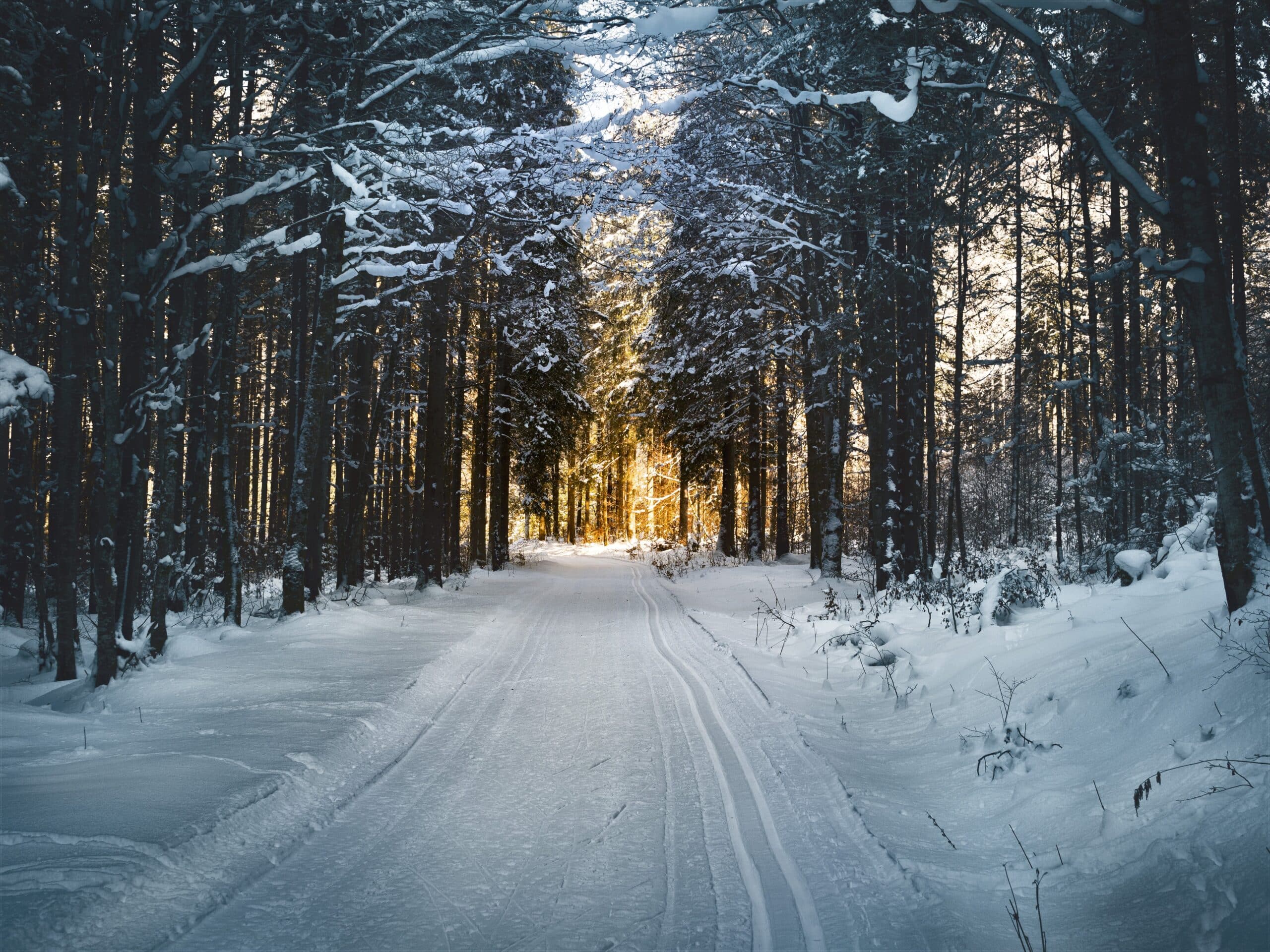 Få din bil klar til vinter